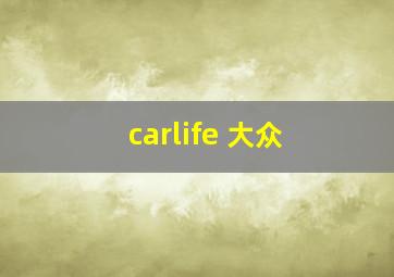 carlife 大众